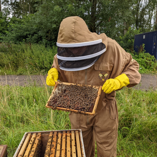 Beekeeper Ed